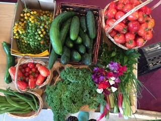 Fruit and Veg